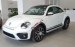 Bán Volkswagen New Beetle năm sản xuất 2018, màu trắng, xe nhập