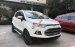 Bán ô tô Ford EcoSport Titanium 1.5 AT đời 2014, màu trắng