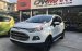 Bán ô tô Ford EcoSport Titanium 1.5 AT đời 2014, màu trắng