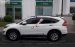Cần bán xe Honda CR V 2.0 AT năm sản xuất 2016, màu trắng