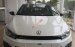 VW Scirocco GTS 2.0 GTS trắng, ưu đãi khủng trong tháng 11