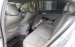 Bán Honda Accord 2.4 AT năm sản xuất 2007, màu bạc, nhập khẩu nguyên chiếc, giá 477tr