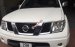 Chính chủ bán Nissan Navara LE đời 2012, màu trắng, nhập khẩu