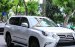 Bán Lexus GX GX460 đời 2018, màu trắng, nhập khẩu nguyên chiếc