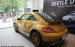 Bán Volkswagen Beetle Dune - Nhập khẩu chính hãng - Quang Long 0933689294