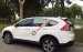 Bán ô tô Honda CR V 2.4 AT đời 2014, màu trắng  