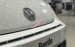 Volkswagen Beetle Dune nhập khẩu, hỗ trợ vay 80%