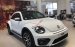 Volkswagen Beetle Dune nhập khẩu, hỗ trợ vay 80%