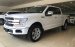 Cần bán xe Ford F 150 Platium 2019, màu trắng, xe nhập Mỹ