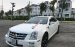 Cần bán Cadillac STS 3.6 AT 2010, màu trắng, xe nhập chính chủ, 860tr