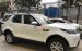 Bán xe giao sớm 0932222253 giá xe LandRover Discovery đời 2019, màu trắng, xám, đỏ, màu đồng 7 chỗ