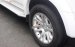 Bán xe Ford Everest AT 2014 màu trắng, xe còn rất mới