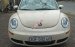 Cần bán xe Volkswagen New Beetle 2.5AT đời 2006 đăng ký lần đầu 2009 nhập khẩu Đức chính chủ mua từ mới