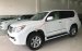 Bán Lexus GX 460 đời 2012, màu trắng, nhập khẩu nguyên chiếc