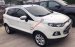 Bán xe Ford EcoSport 1.5 titanium 2016, màu trắng, nhập khẩu, 558tr