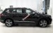 Cần bán Volkswagen Tiguan 2.0 năm 2019, màu đen 