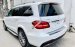 Bán Mercedes GLS 400 sản xuất 2019, màu trắng, nhập khẩu