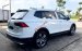 Bán Volkswagen Tiguan AllSpace 2019 - SUV Đức 7 chỗ, nhập khẩu nguyên chiếc mạnh mẽ, hiện đại