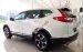 Cần bán Honda CR V sản xuất 2019, nhập khẩu nguyên chiếc, giá tốt