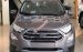 Bán Ford EcoSport 1.5 Titanium 2019, màu xám, nhập khẩu