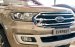 Bán ô tô Ford Everest Tianium Biturbo năm 2018, nhập khẩu