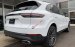 Bán Porsche Cayenne 3.0 V6 sản xuất năm 2019, màu trắng, xe nhập  