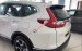Bán ô tô Honda CR V L đời 2019, màu trắng, nhập khẩu nguyên chiếc