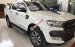 Bán Ford Ranger Wildtrak 3.2L đời 2015, màu trắng, xe nhập
