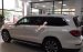Cần bán Mercedes GLS400 sản xuất 2019, màu trắng, nhập khẩu