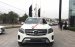 Cần bán Mercedes GLS400 sản xuất 2019, màu trắng, nhập khẩu