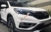 Bán xe Honda CR V 2.4 đời 2016, màu trắng giá cạnh tranh