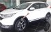 Honda CR-V 1.5 Turbo L 2019, Honda Ô tô Đắk Lắk- Hỗ trợ trả góp 80%, giá ưu đãi cực tốt–Mr. Trung: 0943.097.997