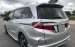 Honda Odyssey nhập Nhật mode 2017 Full Option