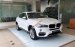 BMW Phú Mỹ Hưng bán BMW X6 xDrive35i sản xuất 2018, xe mới 100%