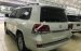 Bán Toyota Land Cruise 5.7 nhập Mỹ, sản xuất và đăng ký 2016, tên công ty, có hóa đơn VAT, xe cực mới 