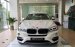 BMW Phú Mỹ Hưng bán BMW X6 xDrive35i sản xuất 2018, xe mới 100%