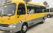 Cần bán Hyundai County Limousine đời 2011, màu vàng