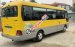 Cần bán Hyundai County Limousine đời 2011, màu vàng