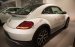 Bán xe Volkswagen Beetle Dune, Coupe 2 cửa, xe nhập khẩu chính hãng mới 100%, hỗ trợ vay, giá tốt - LH: 0933.365.188