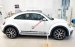 Bán Volkswagen Beetle Dune màu trắng, nhập khẩu nguyên chiếc từ châu Âu