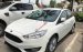 Bán xe Ford Focus 1.5 Trend Ecoboost sản xuất 2019, màu trắng