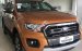 Bán Ford Ranger Wildtrak 2.0L 4x4 AT đời 2019, nhập khẩu nguyên chiếc, mới 100%