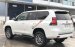 Bán Toyota Land Cruiser Prado mới 100%, NK Nhật Bản, giá tốt, LH 0942.456.838