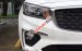 Bán ô tô Kia Sedona đời 2019, màu trắng