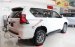 Bán Toyota Land Cruiser Prado VX màu trắng, số tự động, máy xăng 2019
