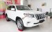 Bán Toyota Land Cruiser Prado VX màu trắng, số tự động, máy xăng 2019