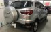 Cần bán Ford EcoSport 1.5 Titanium năm sản xuất 2014, màu bạc