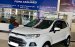 Bán Ford EcoSport Titanium 1.5AT đời 2014, màu trắng