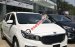 Cần bán xe Kia Sedona đời 2019, màu trắng