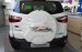 Bán Ford EcoSport Ambiente 1.5L AT năm sản xuất 2019, màu trắng